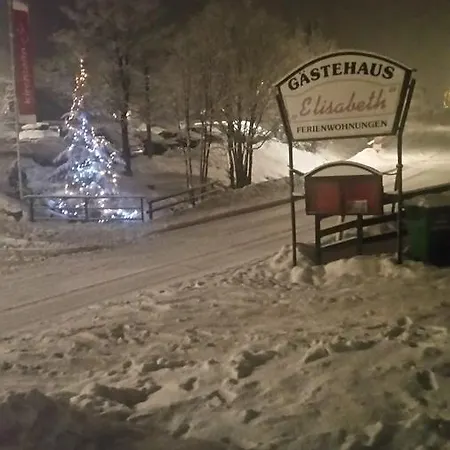Gastehaus Elisabeth Apartment Bad Kleinkirchheim